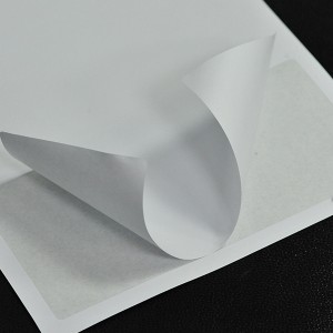 Wholesale Discount Thermal Label Material Jumbo Roll -
 A4 integrated label 110x60mm – Inlytek