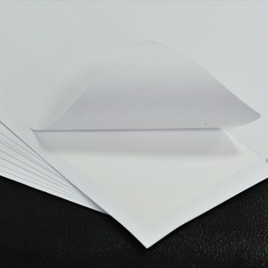 OEM/ODM China China Shipping Products Custom Address Logistics Label