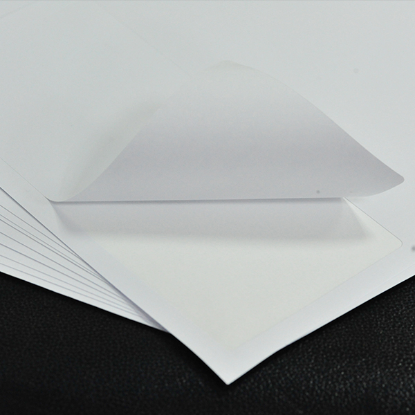 Good Wholesale Vendors 1.25×1 Direct Thermal Labels -
100X190mm eaby usps address label – Inlytek detail pictures