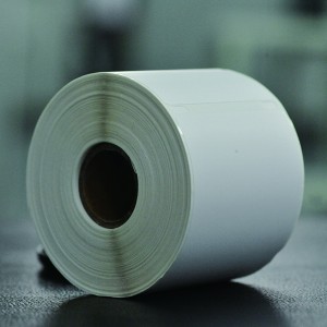 Dymo 30256 Labels 2-516 Inch x 4 Inch Adhesive Standard Shipping Labels (59 mm x 102 mm)