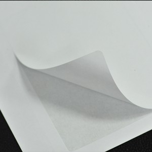 A4 size integrated label 85x54mm