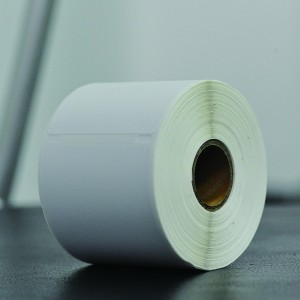 Dymo 30256 Labels 2-516 Inch x 4 Inch Adhesive Standard Shipping Labels (59 mm x 102 mm)
