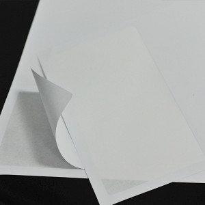 OEM/ODM China China Shipping Products Custom Address Logistics Label